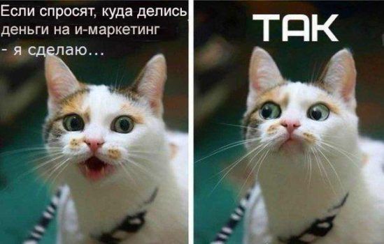 Комплексное Интернет-продвижение