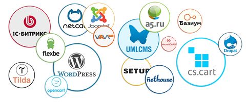 виды cms